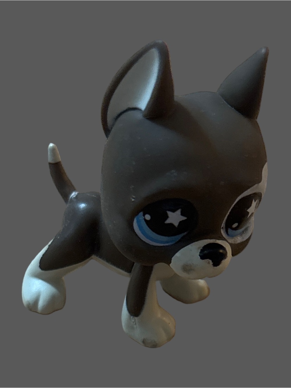 Littlest Pet Shop Great Dane Dog #817, distinctive blue eyes with white stars.